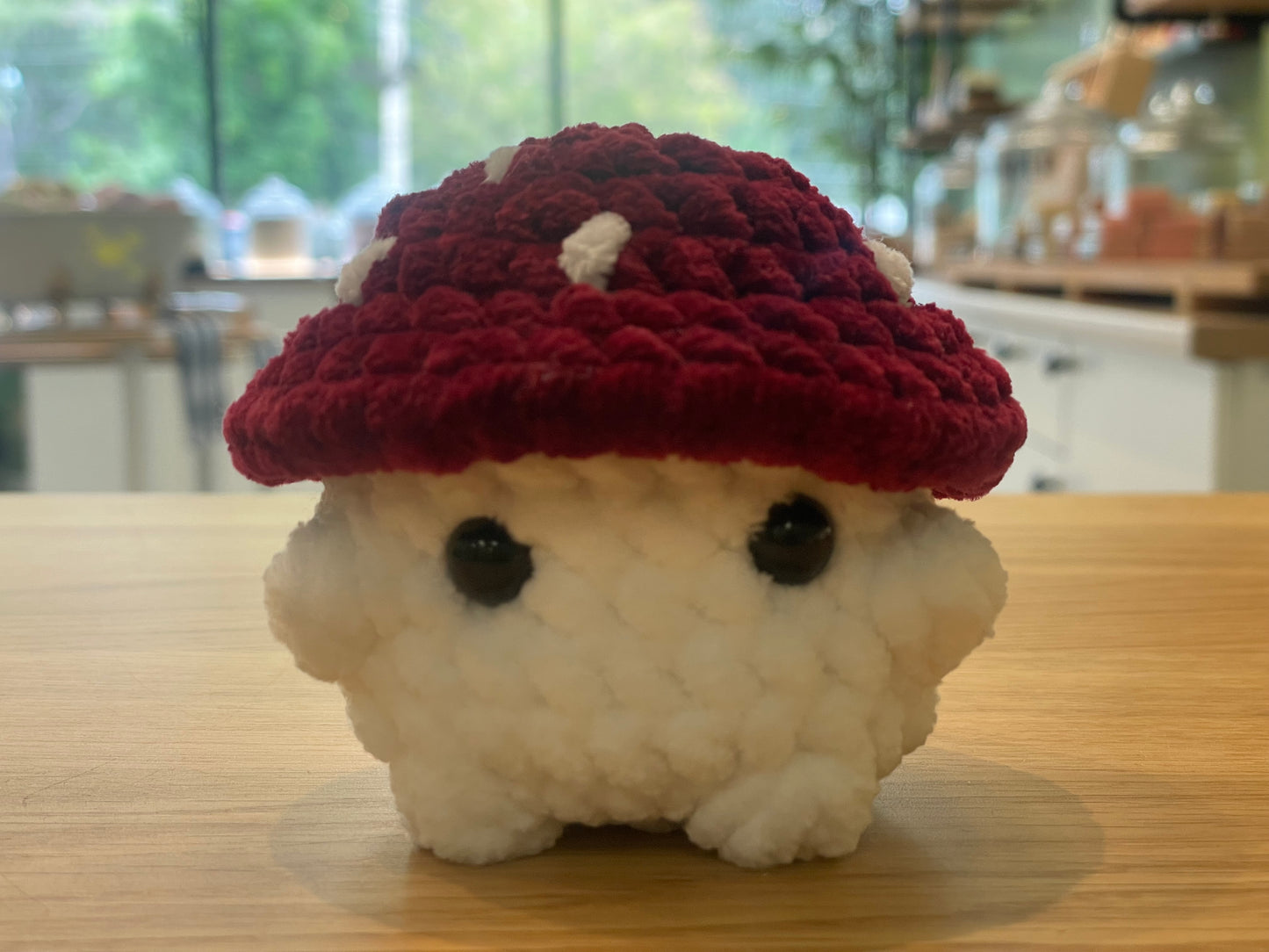 Crochet Mushroom Friends