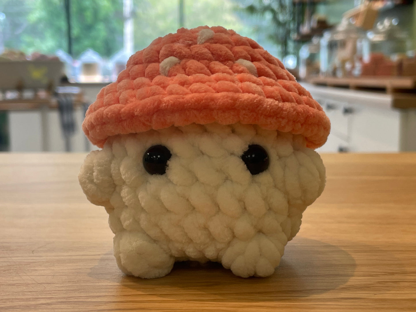 Crochet Mushroom Friends