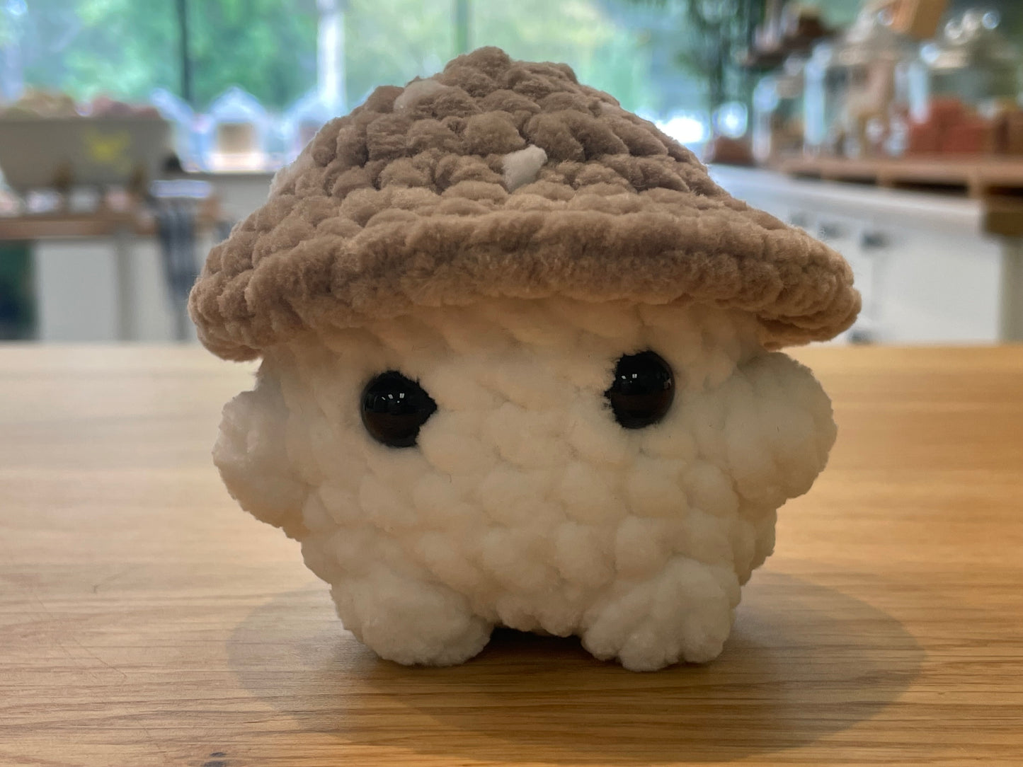 Crochet Mushroom Friends