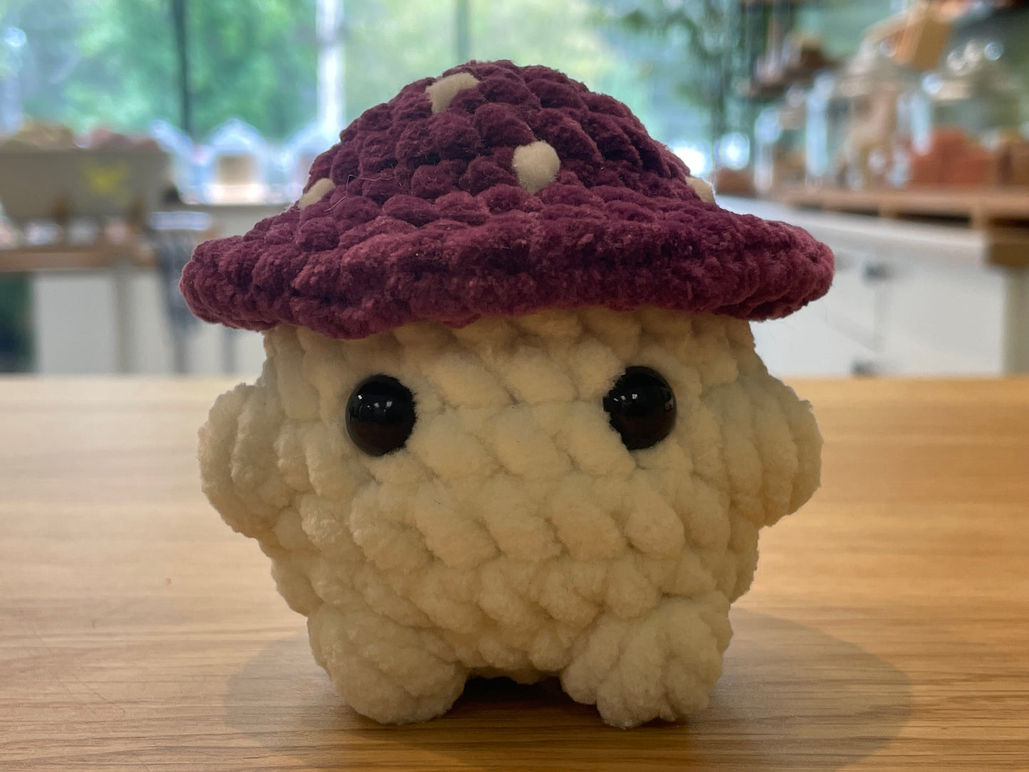 Crochet Mushroom Friends