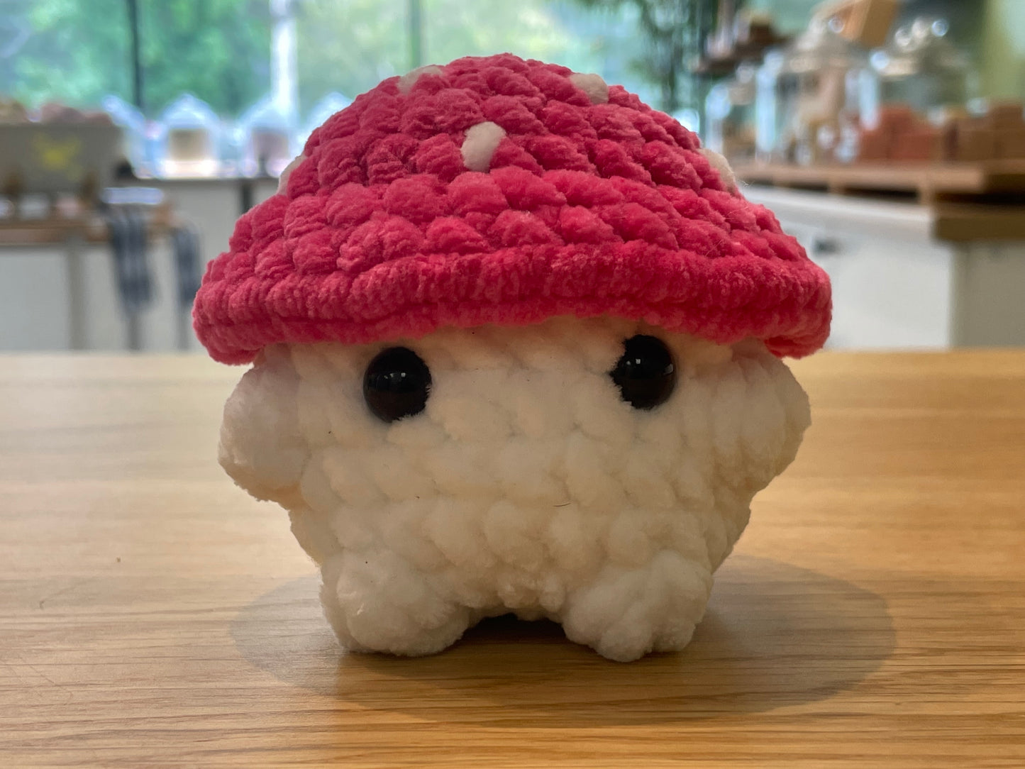 Crochet Mushroom Friends